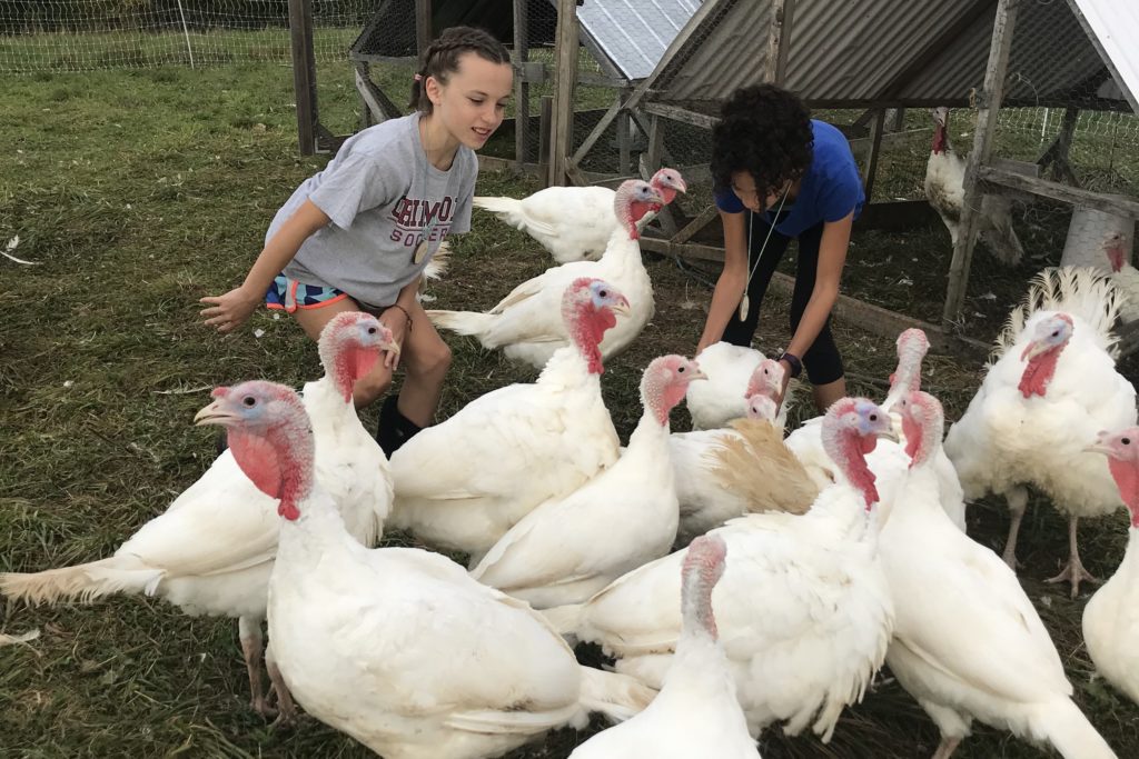Farm School Students with Chickens